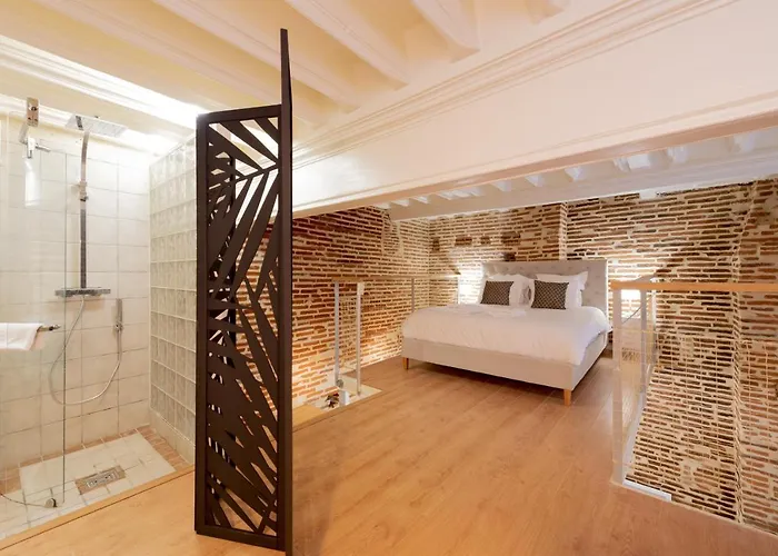 Le Capitoul - D Exception Hypercentre Apartman Toulouse