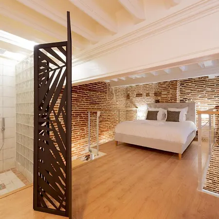 Le Capitoul - D Exception Hypercentre 公寓 圖盧茲